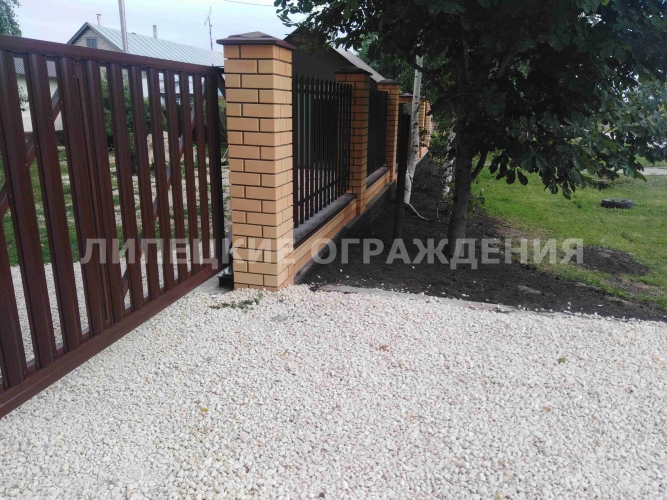 photo-zabor28