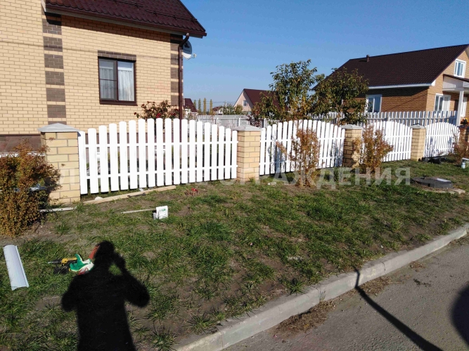 photo-zabor87